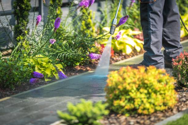 Best Pre-Holiday Cleaning  in Ofallon, MO