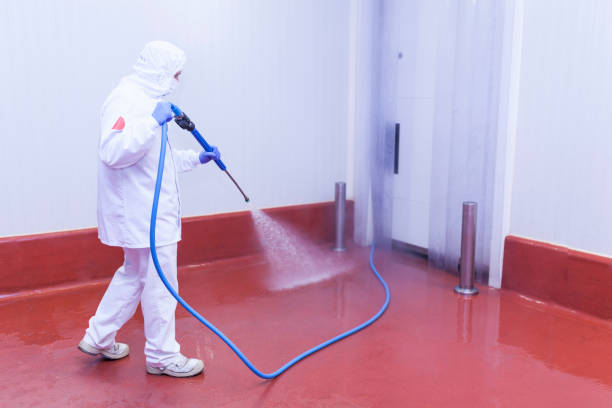 Best Soft Washing  in Ofallon, MO